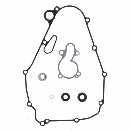 Tesnenie vodnej pumpy-sada ATHENA P400250475016 s ložiskami