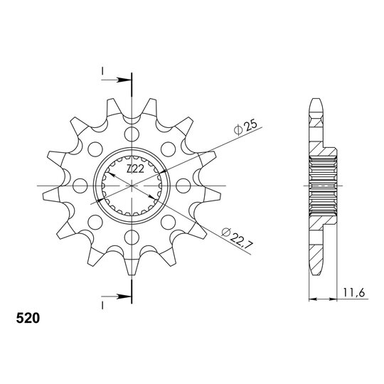 Reťazové koliečko SUPERSPROX CST-3221:12 12T, 520