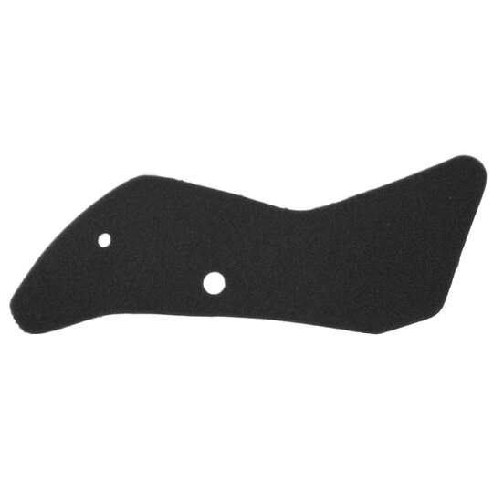 Vzduchový filter NYPSO 100601211