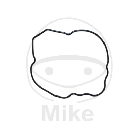 Tesnenie víka alternátoru ATHENA S410250017049