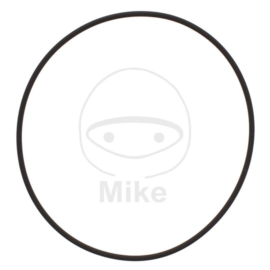 Tesnenie  vodnej pumpy ATHENA M752007800004 2X78 mm