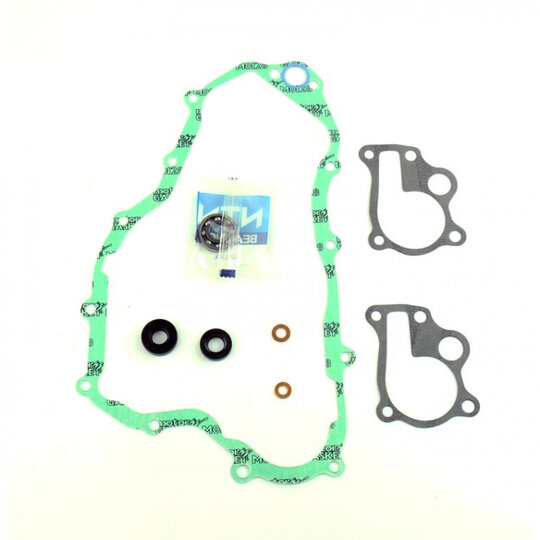 Tesnenie vodnej pumpy-sada ATHENA P400210475005 s ložiskami