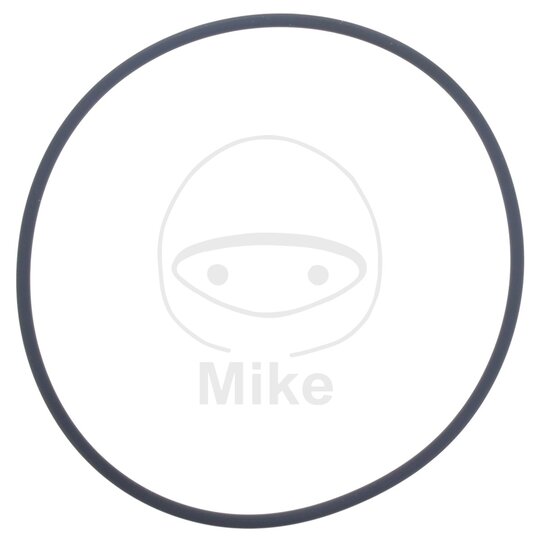 Tesnenie  vodnej pumpy ATHENA M752508300004 2.5X83 mm