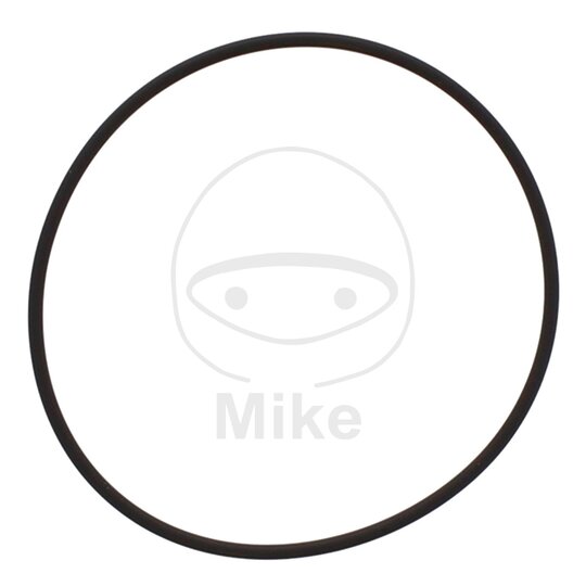 Tesnenie  vodnej pumpy ATHENA M752006100004 2X61 mm