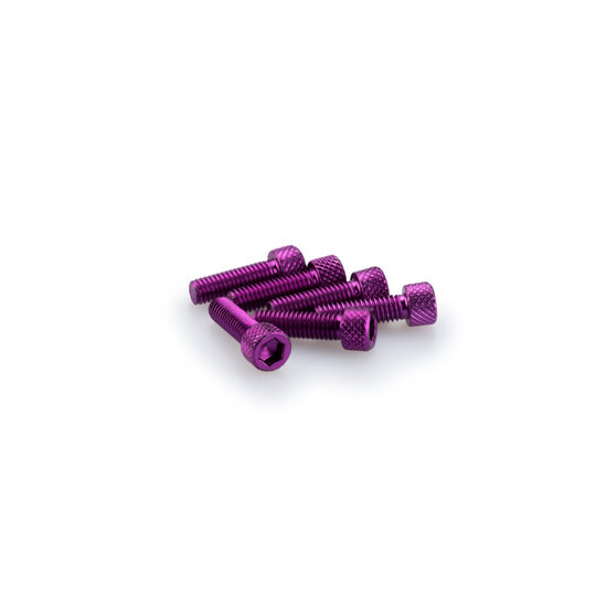 Skrutky PUIG ANODIZED 0364L fialová M6 x 20 mm (6ks)