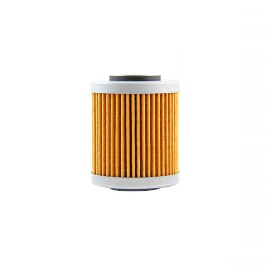 Olejový filter CHAMPION 100608135