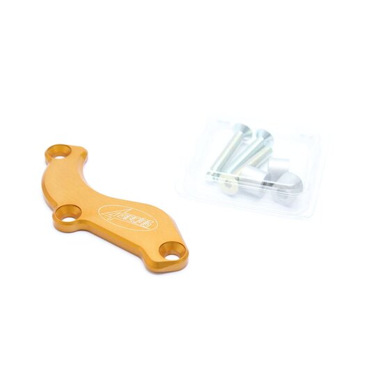 Ochrana motoru (strana dobíjania) 4RACING CM020DX zlatá