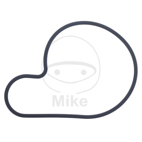 Tesnenie  vodnej pumpy ATHENA S410510024030