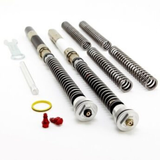 Cartridge prednej vidlice K-TECH DDS 155-017-250-015