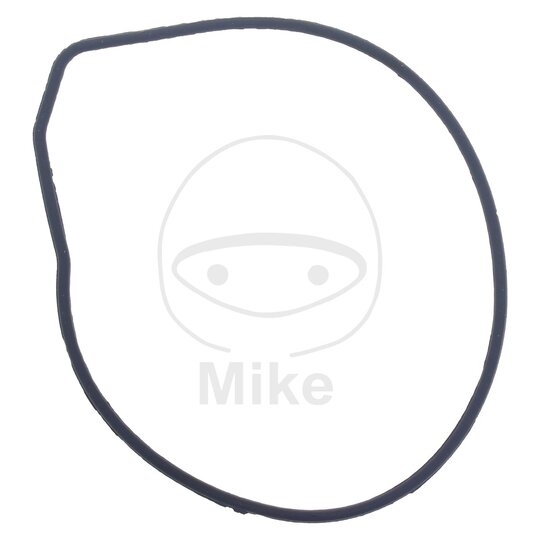 Tesnenie  vodnej pumpy ATHENA S410485024029