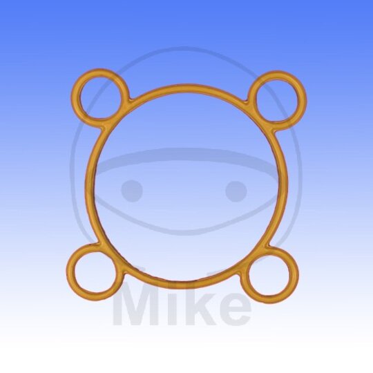 Tesnenie hlavy valca ATHENA S410480001014