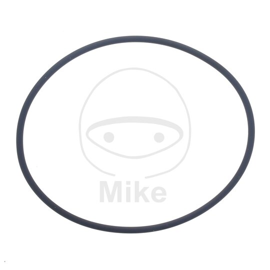 Tesnenie  vodnej pumpy ATHENA M752507400004 2.5X74 mm