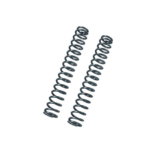 Fork springs kit BITUBO (K 0.95) (+1 Lt. Oil)