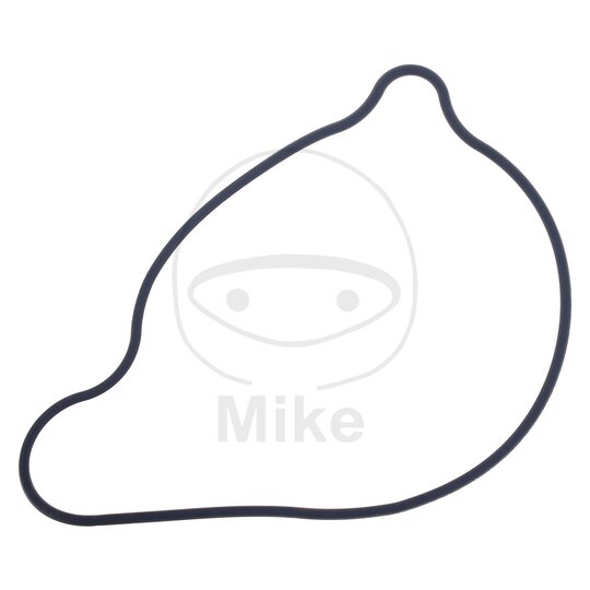 Tesnenie  vodnej pumpy ATHENA S410485024015