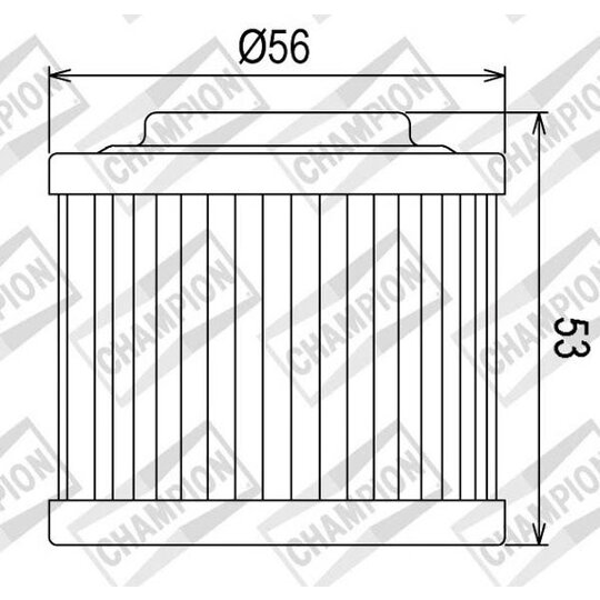 Olejový filter CHAMPION COF051 100609205