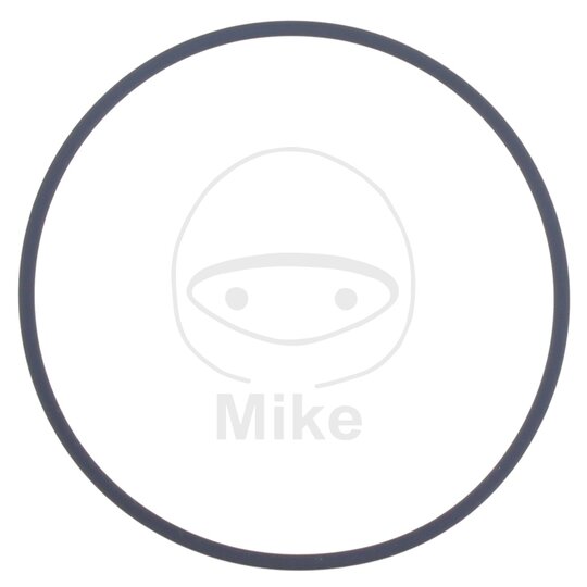 Tesnenie  vodnej pumpy ATHENA M752006000004 2X60 mm