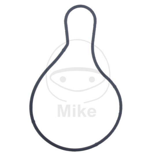 Tesnenie  vodnej pumpy ATHENA S410485024016