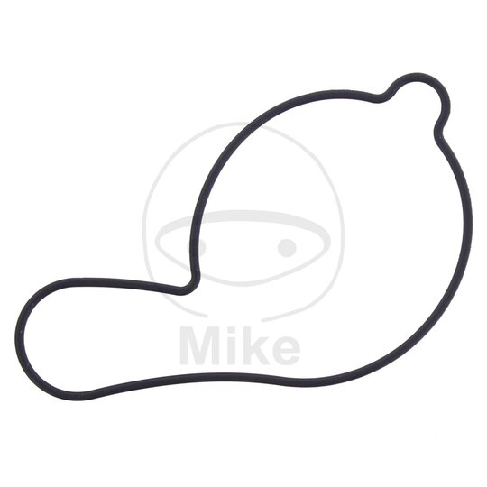 Tesnenie  vodnej pumpy ATHENA S410485024028