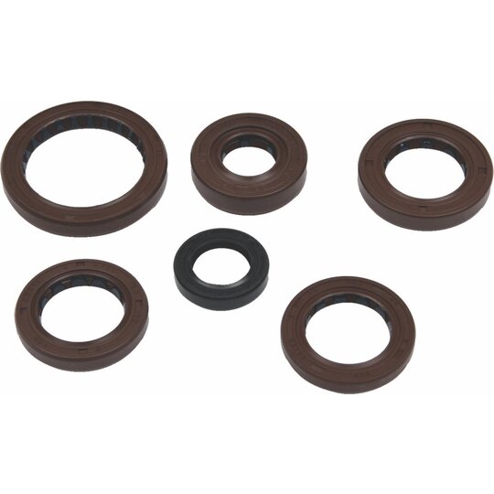 Sada gufier  motoru WINDEROSA EOSK 822376