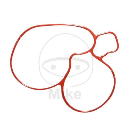 Tesnenie  vodnej pumpy ATHENA S410510024038