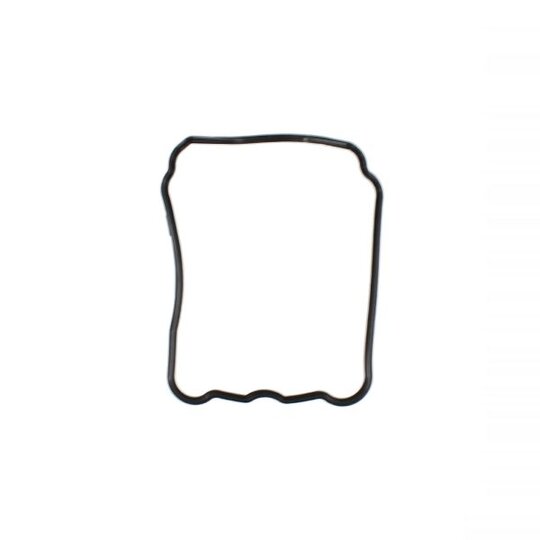 Tesnenie krytu hlavy RMS 100701050