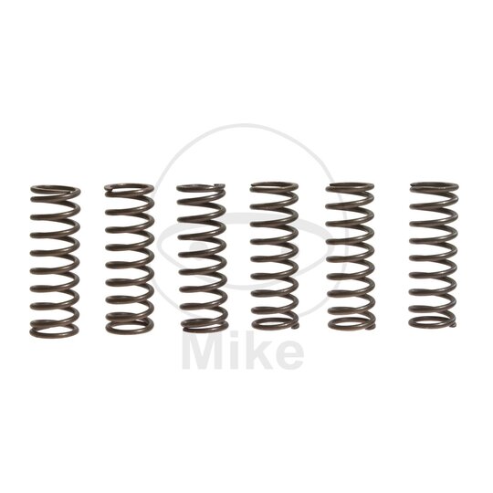 Sada  spojkových pružín EBC CSK043 6