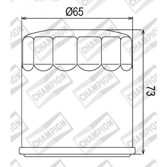 Olejový filter CHAMPION COF077 100609745