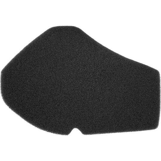 Vzduchový filter NYPSO 100601231