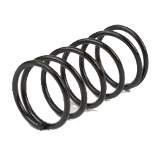 Spojkové pružiny RMS 121950140