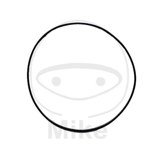 Tesnenie hlavy valca ATHENA M752010000004 veľký 2X100 mm