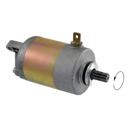 Štartér motora RMS 246390390