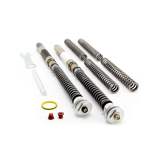 Cartridge prednej vidlice K-TECH DDS 155-012-230/020