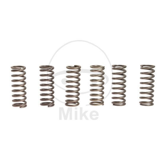 Sada  spojkových pružín EBC CSK045 6