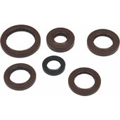 Sada gufier  motoru WINDEROSA EOSK 822376