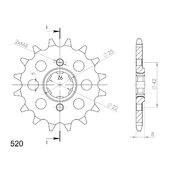 Reťazové koliečko SUPERSPROX CST-281:13 13T, 520