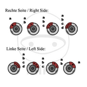 Brake_caliper_repair_kit