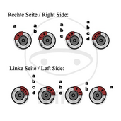 Brake_caliper_repair_kit
