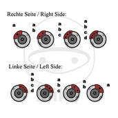 Brake_caliper_repair_kit