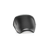 Plexi na motorku PUIG FRONTAL PLATE 3590C karbónový vzhľad