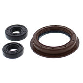 Sada gufier  motoru WINDEROSA EOSK 822200