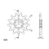 Reťazové koliečko SUPERSPROX CST-1901:13 13T, 520