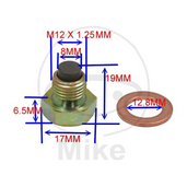 Magnetic oil drain plug