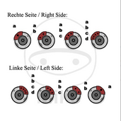Brake_caliper_piston_kit