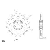 Reťazové koliečko SUPERSPROX CST-1579:15 15T, 520