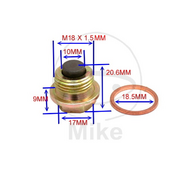 Magnetic oil drain plug