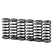 Pružiny spojky sada MOTION STUFF