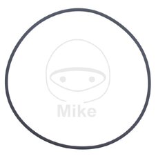 Tesnenie  vodnej pumpy ATHENA M752008200004 2X82 mm