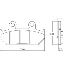 Brzdové obloženie ACCOSSATO AGPP109 ST