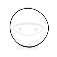 Tesnenie hlavy valca ATHENA M752010000004 veľký 2X100 mm