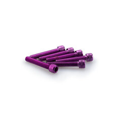 Skrutky PUIG ANODIZED 0346L fialová M6 x 35 mm (6ks)